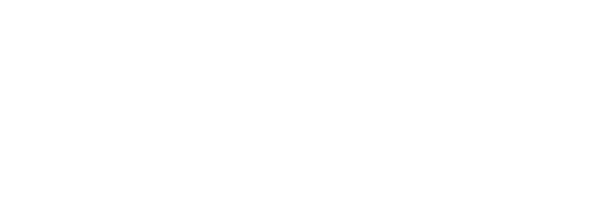 Everstar logo